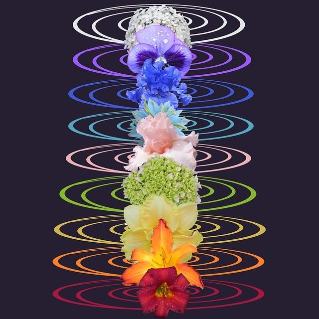 Ascension Kundalini